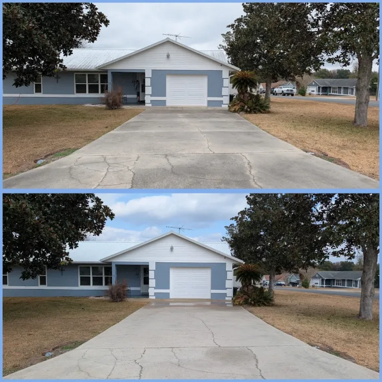 roaringrinse 768x768